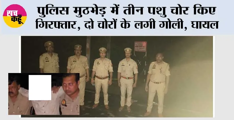पुलिस मुठभेड़ में तीन पशु चोर किए गिरफ्तार, दो चोरों के लगी गोली, घायल