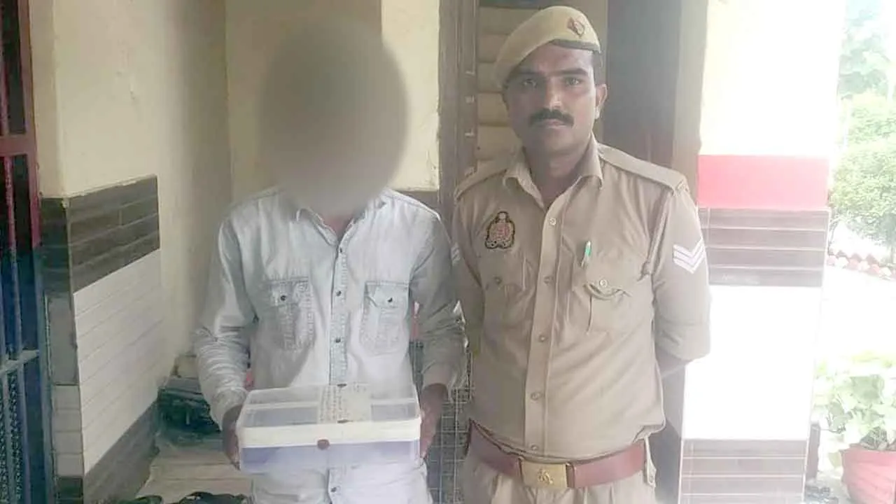 अवैध हथियार व जिंदा कारतूस बरामद, आरोपी गिरफ्तार
