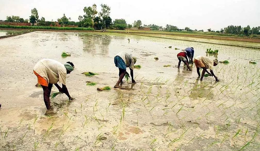 Agriculture Sector: ”बेहतर मानसून से ग्रामीण अर्थव्यवस्था में होगी अद्भुत वृद्धि”