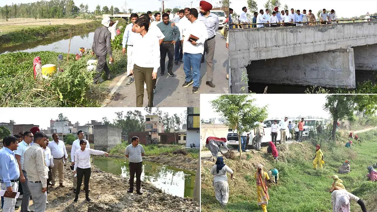 ड्रेनों में उगी मिली झाड़ियां, जलखूंबी, डीसी ने धीमी गति से हो रहे कार्य पर अधिकारियों को तेजी लाने के दिए कड़े निर्देश