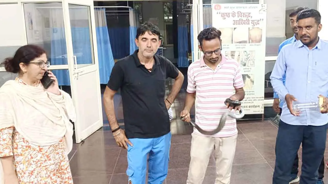 Snake News: नागरिक अस्पताल में सांपों के मिलने से कर्मचारी और मरीजों में दहशत का माहौल