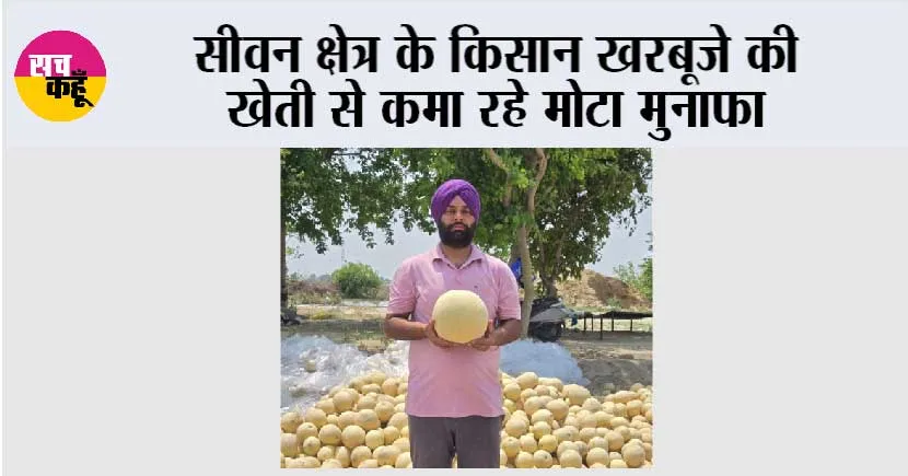 Kisan News: सीवन क्षेत्र के किसान खरबूजे की खेती से कमा रहे मोटा मुनाफा