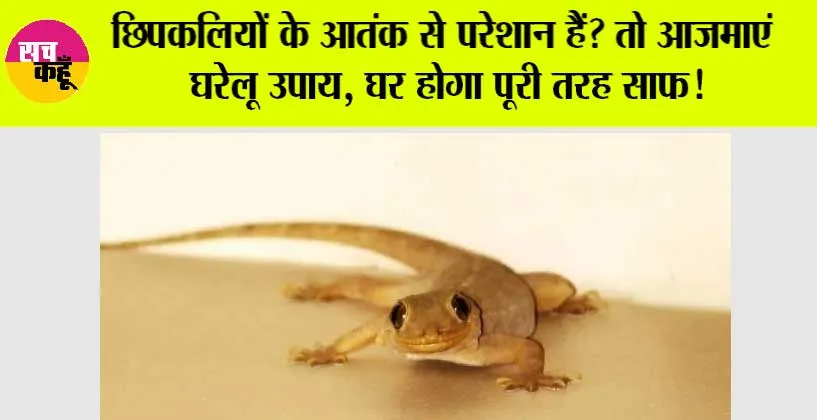 Lizard can be away from your Home: छिपकलियों के आतंक से परेशान हैं? तो आजमाएं घरेलू उपाय, घर होगा पूरी तरह साफ!