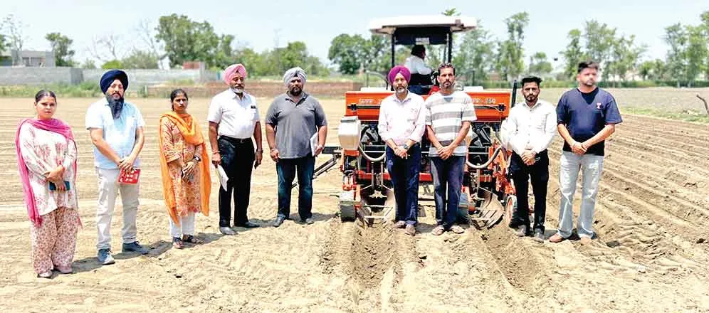 Punjab: मक्की की खेती को बढ़ावा देने के लिए सरकार पायलट प्रोजेक्ट
