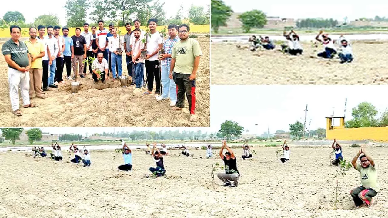 Tree Plantation: सेवादारों ने पौधारोपण कर धरती को दिया हरियाली का तोहफा