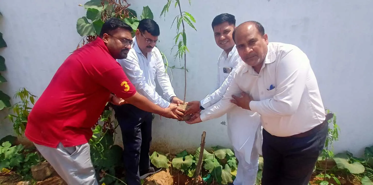 शिखर शिक्षा सदन में पर्यावरण दिवस पर पौधारोपण कार्यक्रम आयोजित