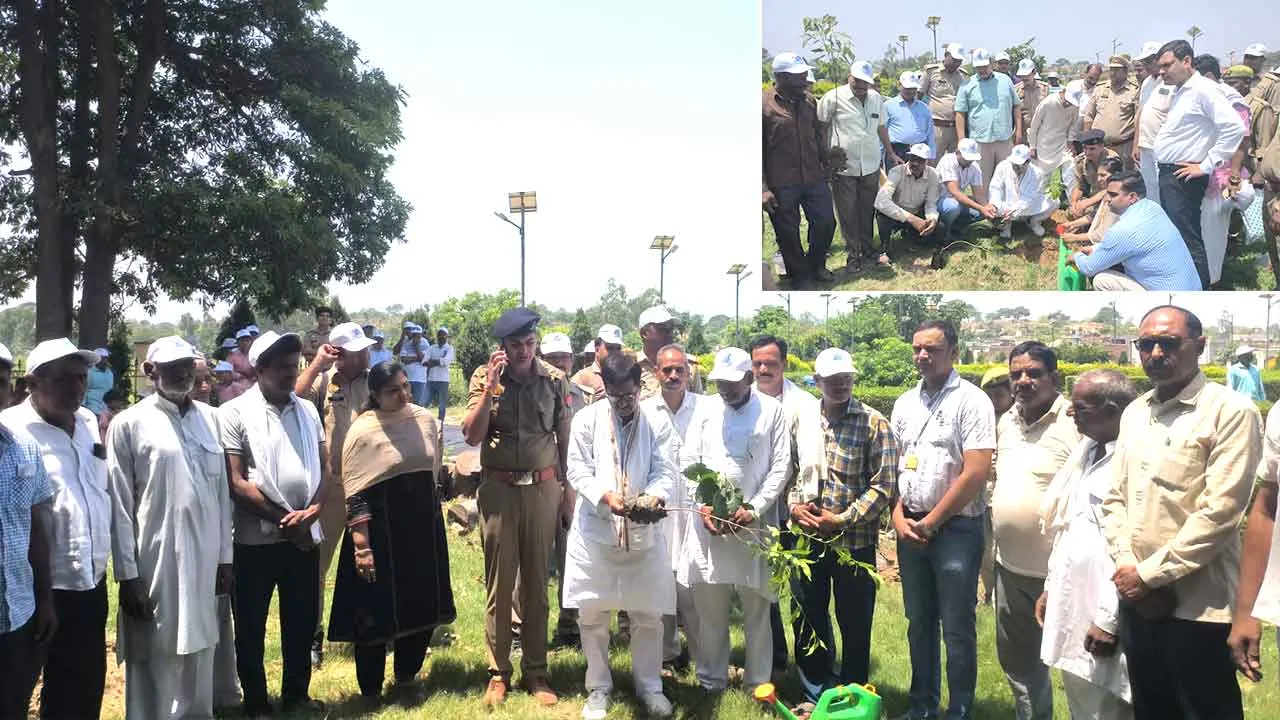 Tree Plantation: विश्व पर्यावरण दिवस पर जिला गंगा समिति द्वारा किया वृक्षारोपण