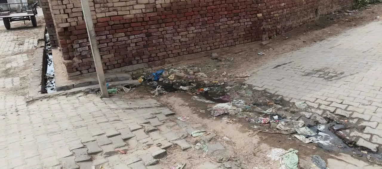 चरमराई सफाई व्यवस्था, हो रही खानापूर्ति, गंदगी से अटी नालियां, सड़कों पर बह रहा गंदा पानी