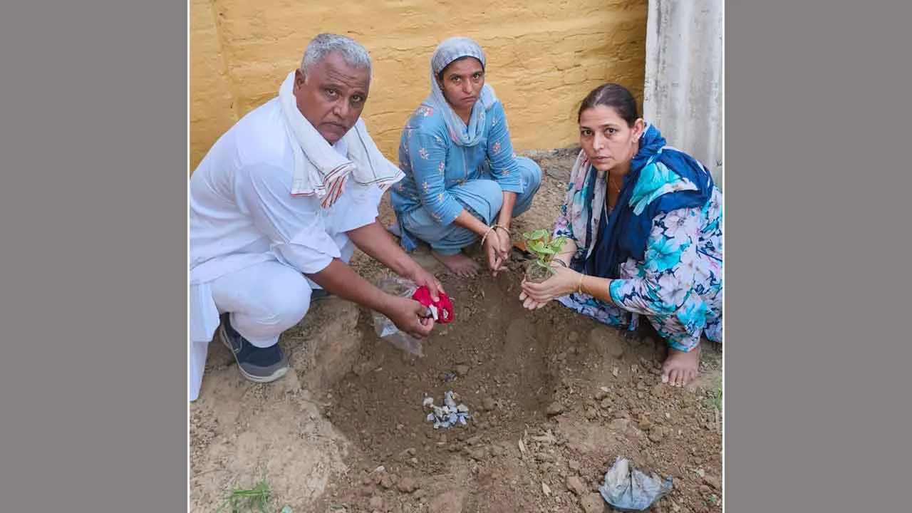 अस्थियों से परोपकार’: सोना इन्सां की अस्थियों पर लगाया पौधा, पर्यावरण संरक्षण का दिया संदेश