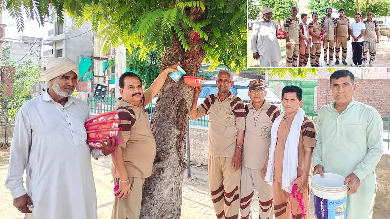रतिया की साध-संगत ने भीषण गर्मी को देखते हुए पक्षियों के लिए चुग्गा-दाना व पानी  की व्यवस्था की