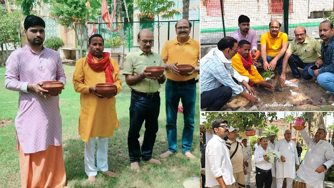 सच कहूँ की 23वीं स्थापना दिवस पर हुए सामाजिक कार्य, रखवाए सकोरे व बाल्टियां