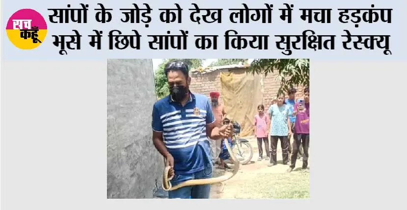 Snake: सांपों के जोड़े को देख लोगों में मचा हड़कंप भूसे में छिपे सांपों का किया सुरक्षित रेस्क्यू