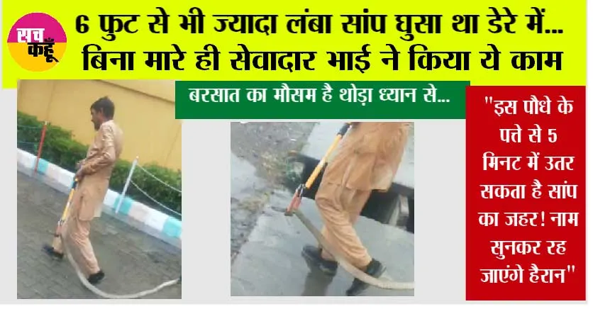 Snake News: 6 फुट से भी ज्यादा लंबा सांप घुसा था डेरे में…बिना मारे ही सेवादार भाई ने किया ये काम