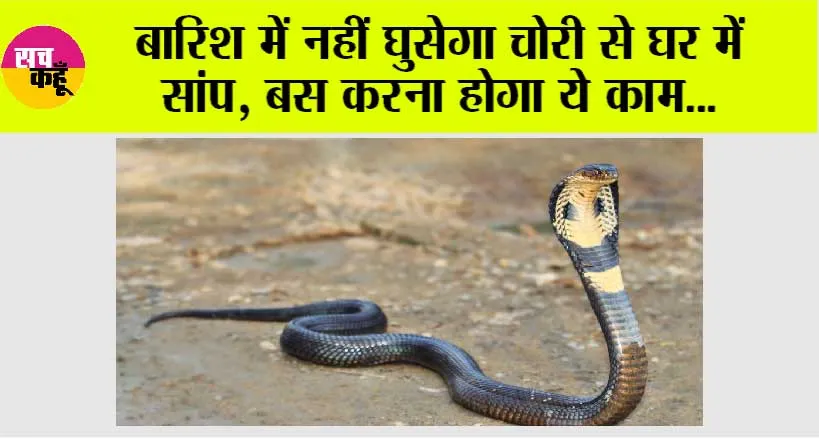 Snake News: बारिश में नहीं घुसेगा चोरी से घर में सांप, बस करना होगा ये काम…