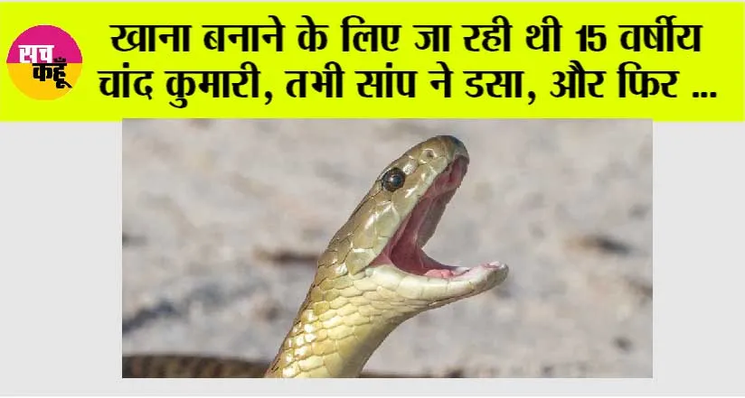 Snake: खाना बनाने के लिए जा रही थी 15 वर्षीय चांद कुमारी तभी सांप ने डसा, और फिर …