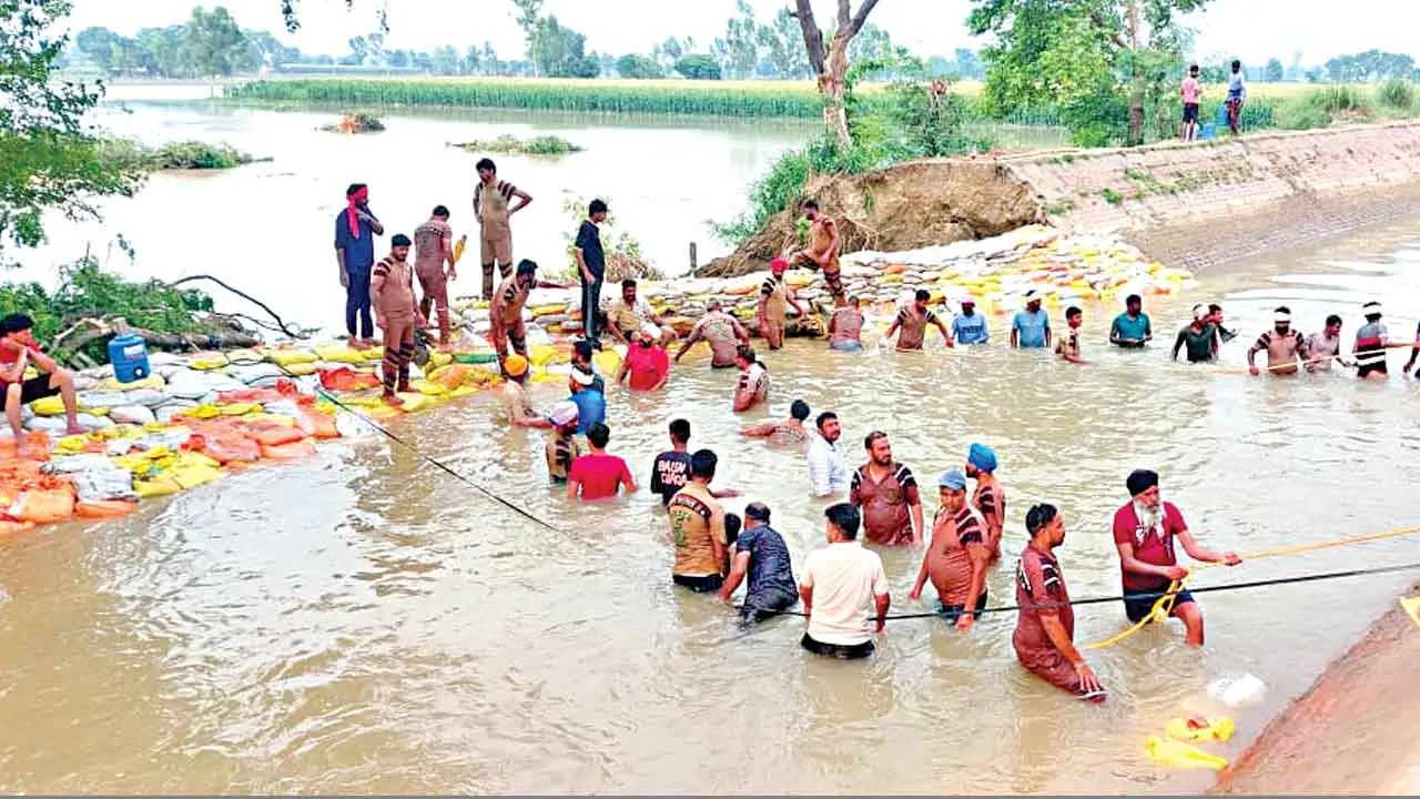 नहर की दरार के सामने दीवार बने ‘डेरा प्रेमी’