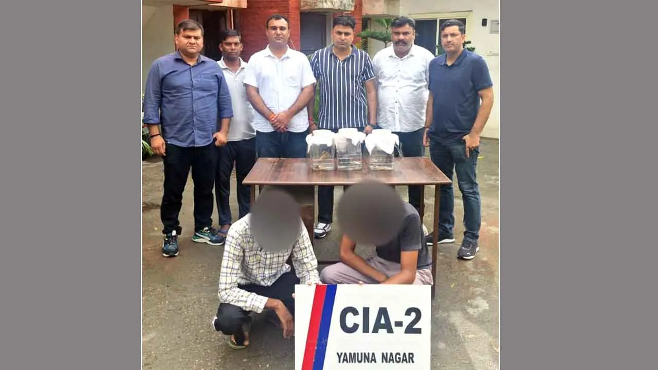 Extortionist Arrested: व्यापारी से रंगदारी मांगने के आरोप में दो बदमाश धरे