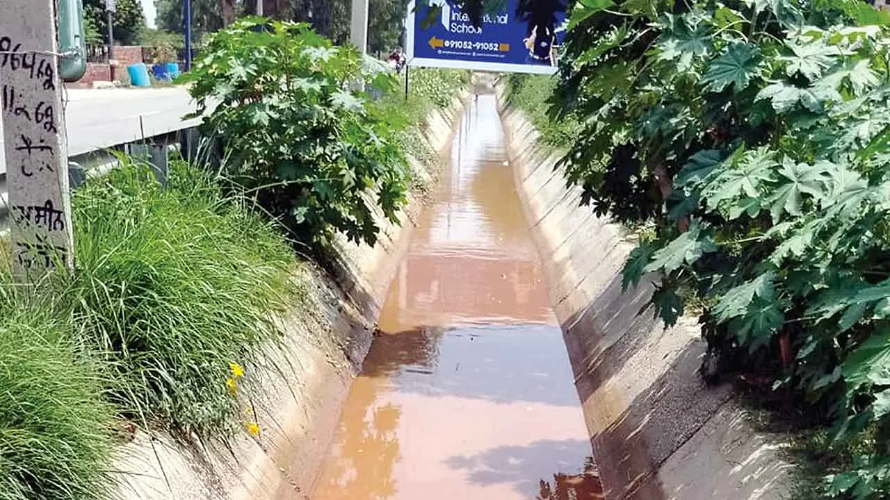 Punjab Canal Accident: प्रशासन की लापरवाही पड़ी महंगी, रजबाहे में गिरने से मासूम बच्ची की मौत