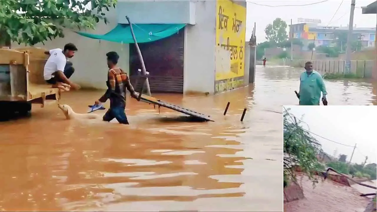 बठिंडा में टूटा नाला, रातोंरात घरों में घुसा पानी, लोगों में मचा हड़कंप