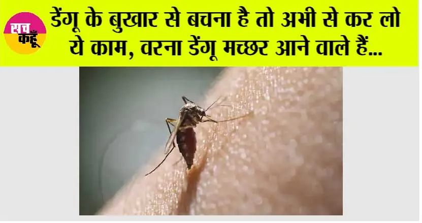 Dengue Fever Symptoms: डेंगू का बुखार कब और कैसे होता है, जानें-इसके लक्षण, और बचाव
