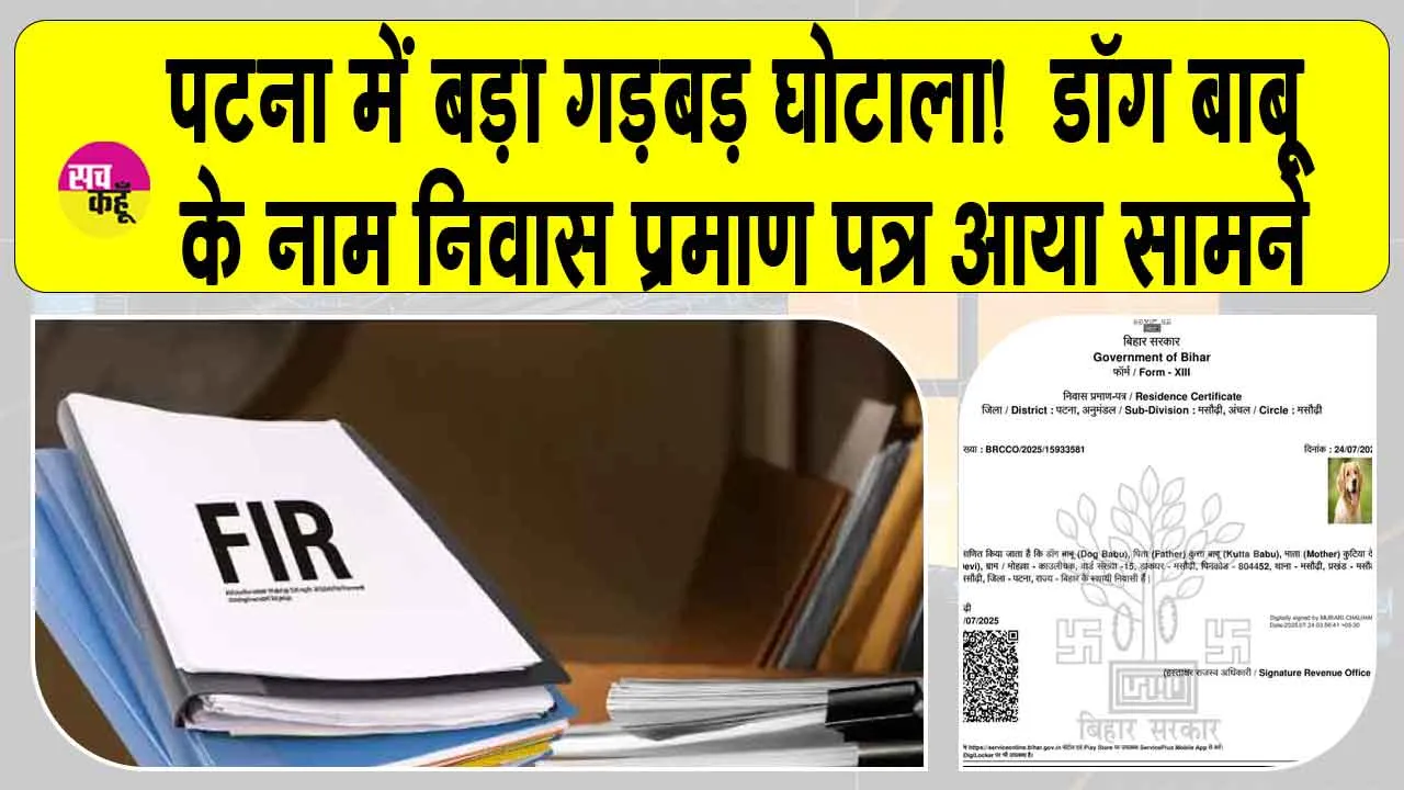 Dog Babu Certificate: पटना में गड़बड़झाला!  ‘डॉग बाबू’ के नाम निवास प्रमाण पत्र जारी, पदाधिकारी के खिलाफ एक्शन