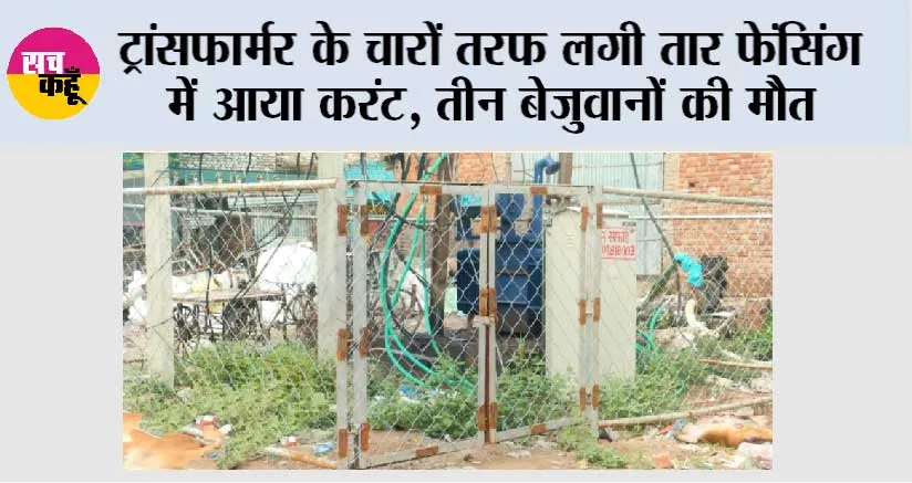 ट्रांसफार्मर के चारों तरफ लगी तार फेंसिंग में आया करंट, तीन बेजुवानों की मौत