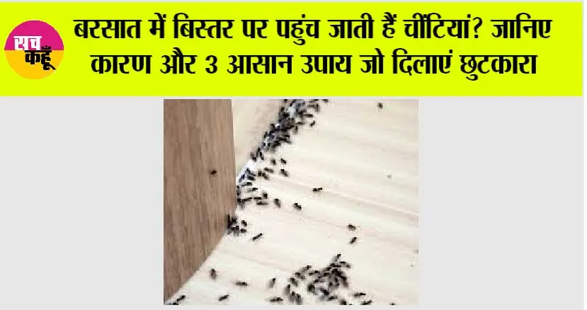 Get Rid Of Ants: बरसात में बिस्तर पर पहुंच जाती हैं चींटियां? जानिए कारण और 3 आसान उपाय जो दिलाएं छुटकारा