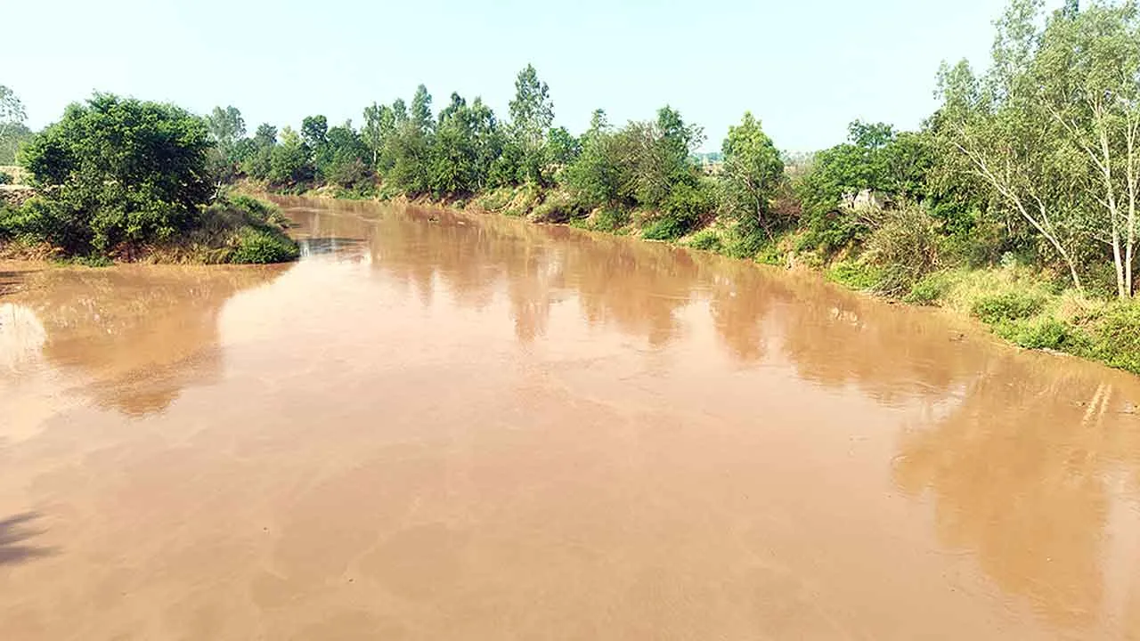 Ghaggar Water Level: घग्गर नदी में बढ़ने लगा पानी का स्तर, किसानों की बढ़ी चिंता