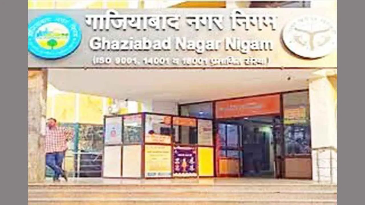 आरोप बेबुनियाद, केवल दुष्प्रचार, पेशेवर शिकायतकर्ता है अमित किशोर: नगर निगम 