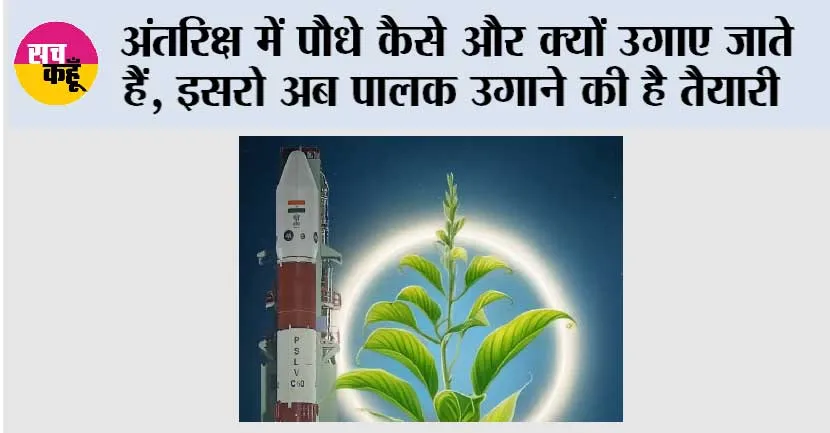 ISRO News: अंतरिक्ष में पौधे कैसे और क्यों उगाए जाते हैं, ISRO अब पालक उगाने की है तैयारी