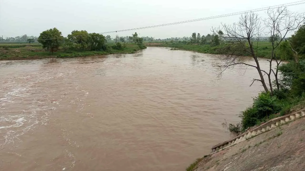 चांदपुरा में घग्घर सायफन पर नदी के जलस्तर में उछाल
