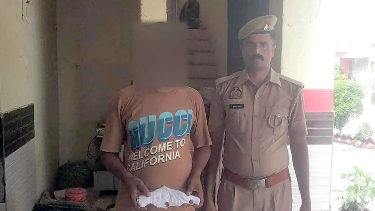 अवैध हथियार व जिंदा कारतूस बरामद, आरोपी दबोचा