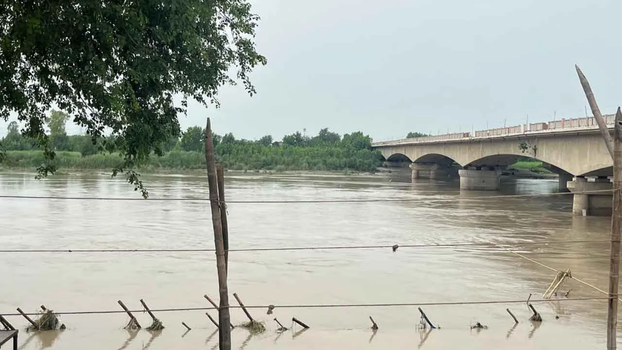 Yamuna River: कैराना में यमुना के बहाव में 105 सेंटीमीटर की गिरावट, राहत
