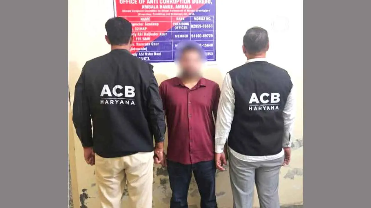 कई महीनों से फरार चल रहा गुहला तहसीलदार एसीबी की गिरफ्त में