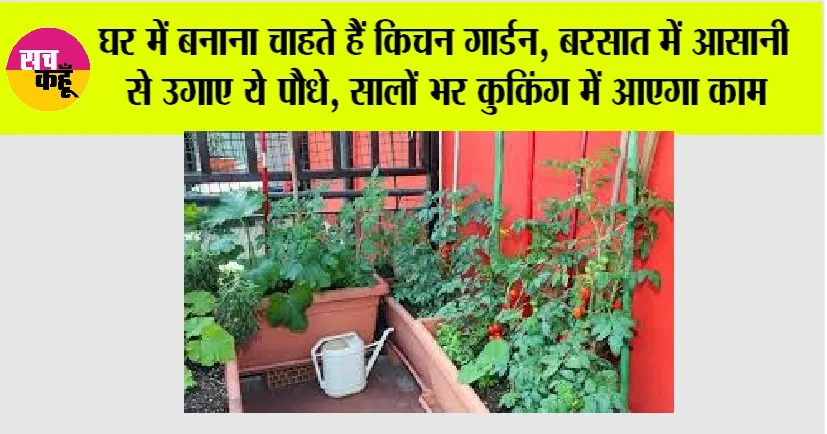 Kitchen Gardening: घर में बनाना चाहते हैं किचन गार्डन, बरसात में आसानी से उगाए ये पौधे, सालों भर कुकिंग में आएगा काम
