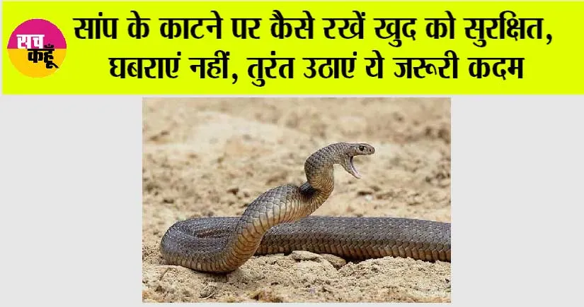 Monsoon Snake Bite: सांप के काटने पर कैसे रखें खुद को सुरक्षित, घबराएं नहीं, उठाएं ये जरूरी कदम