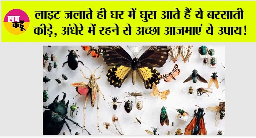 Monsoon Tips: लाइट जलाते ही घर में घुस आते हैं ये बरसाती कीड़े, अंधेरे में रहने से अच्छा आजमाएं ये उपाय!