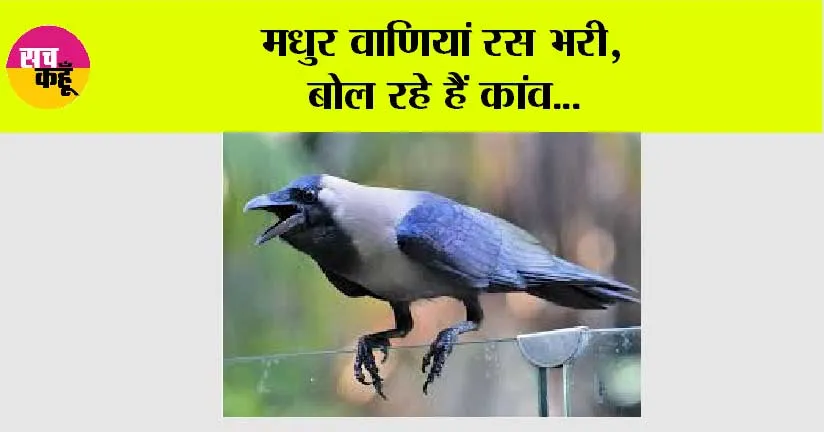 मधुर वाणियां रस भरी, बोल रहे हैं कांव…