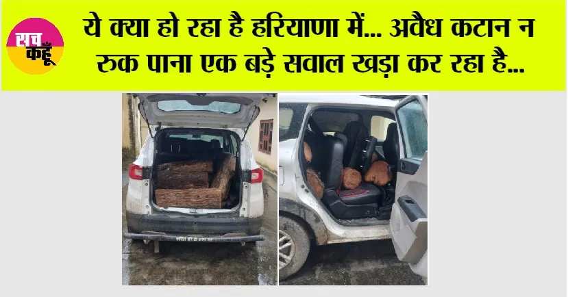 ये क्या हो रहा है हरियाणा में… अवैध कटान न रुक पाना एक बड़े सवाल खड़ा कर रहा है…