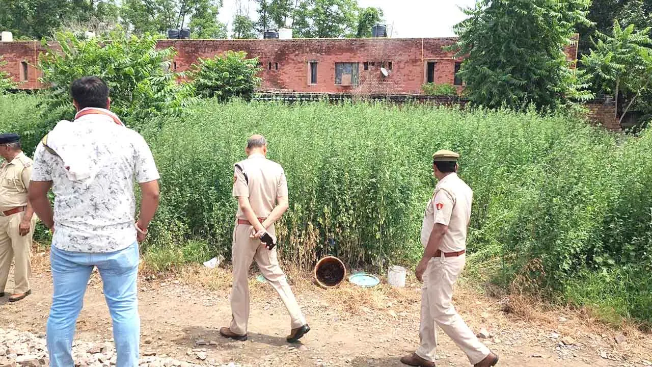 रोहतक में महिला की बेरहमी से की गई हत्या