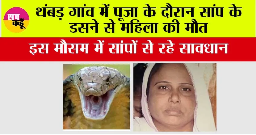 थंबड़ गांव में पूजा के दौरान सांप के डसने से महिला की मौत