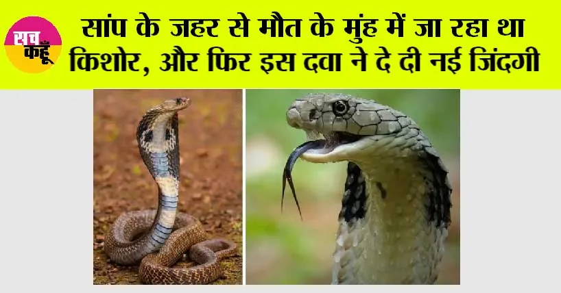 Snake News: सांप के जहर से मौत के मुंह में जा रहा था किशोर, डॉक्टरों की सजगता ने दी नई जिंदगी