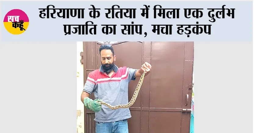 Snake News: हरियाणा के रतिया में मिला एक दुर्लभ प्रजाति का सांप, मचा हड़कंप