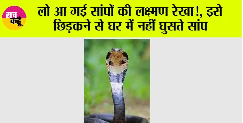 Snake News: लो आ गई सांपों की लक्ष्मण रेखा!, इसे छिड़कने से घर में नहीं घुसते सांप