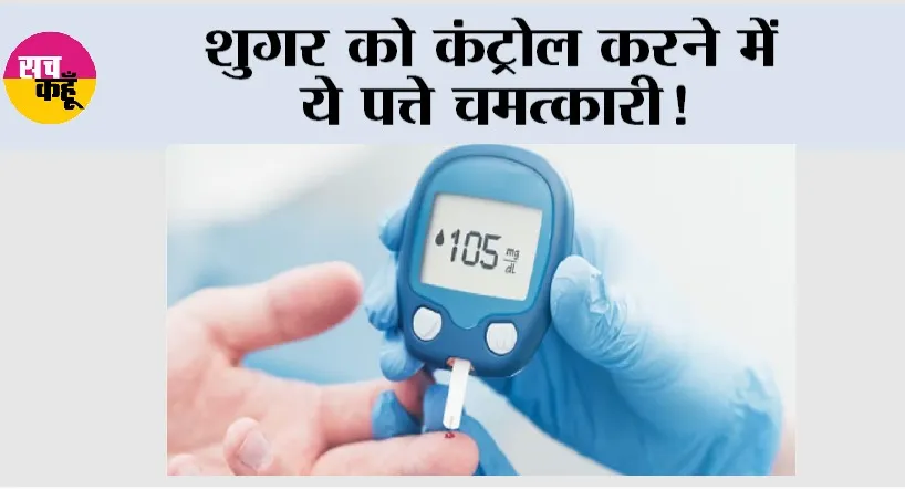 Sugar Control: ये छोटे-छोटे पत्ते शुगर को कर सकते हैं कंट्रोल, आयुर्वेद ने माना लोहा