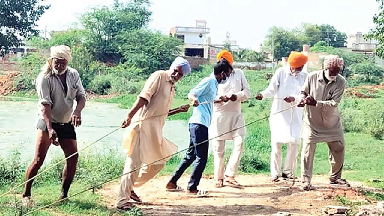 गंदे तालाब से मृत जानवर को डेरा श्रद्धालुओं ने निकाला बाहर