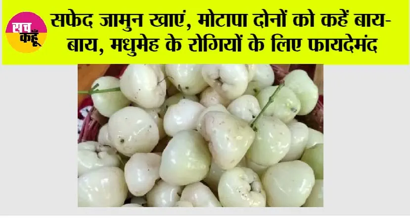 White Jamun Benefits: सफेद जामुन खाएं, मोटापा दोनों को कहें बाय-बाय, मधुमेह के रोगियों के लिए फायदेमंद