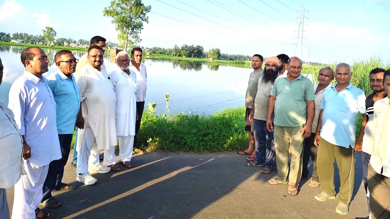 बराड़ा क्षेत्र में सैकड़ों एकड़ फसल पानी में डूबी