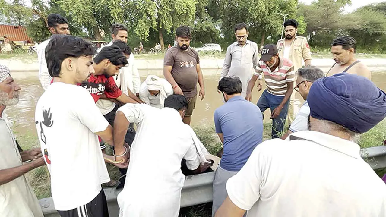 Welfare Work: नहर में गिरी गाय को सेवादारों ने सुरक्षित बाहर निकाला