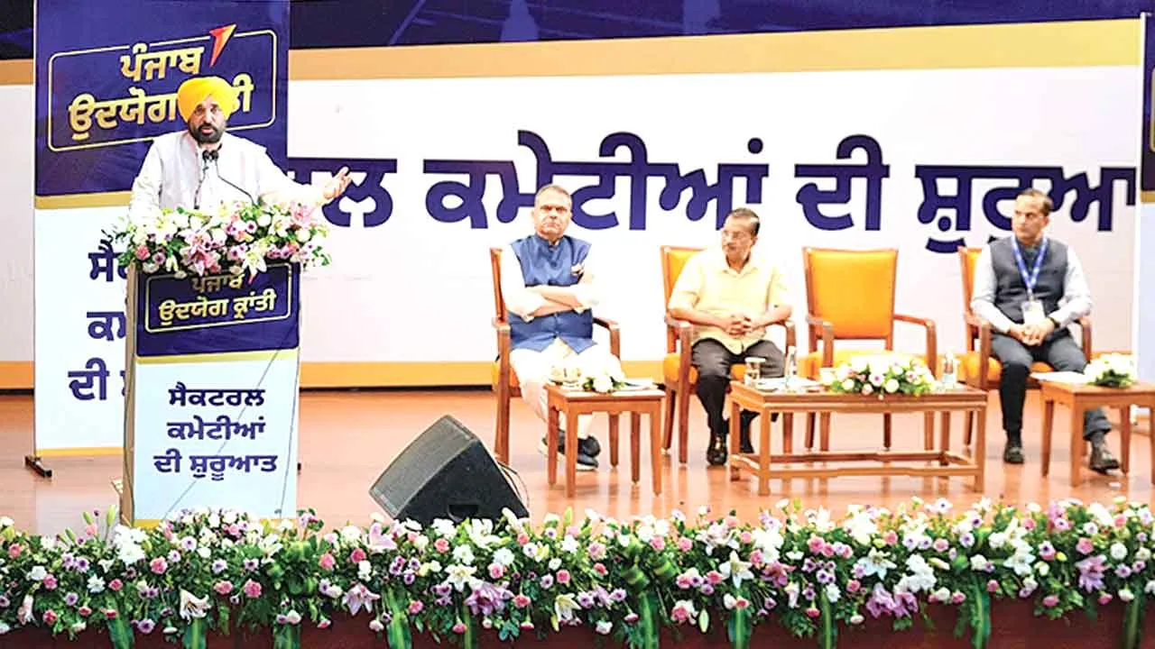 औद्योगिक क्रांति लाने के लिए 24 क्षेत्रवार सलाहकार समितियां गठित
